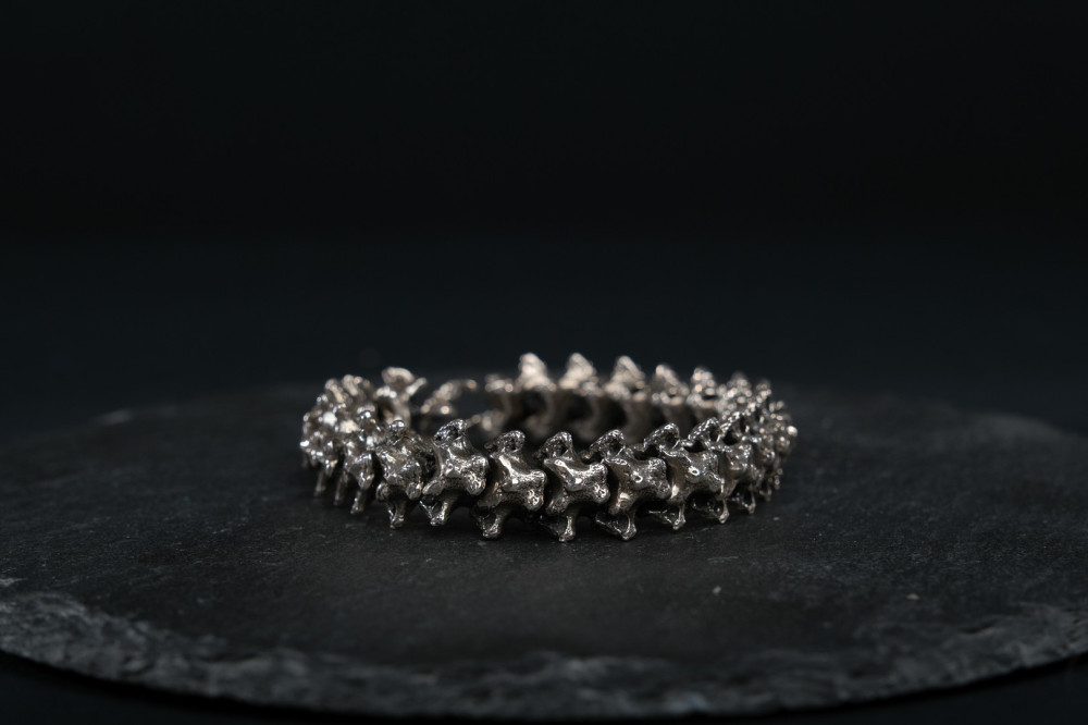 Vertebral - V1 - The Rooster by UNDE