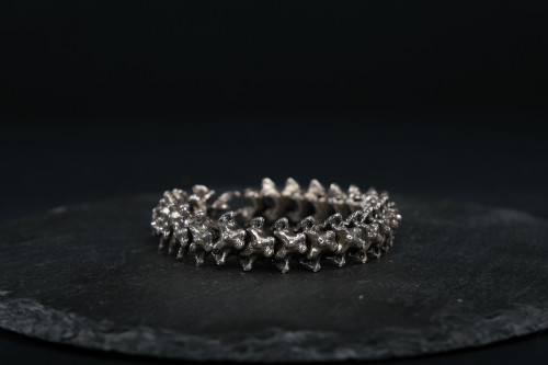 Vertebral - V1 - The Rooster by UNDE