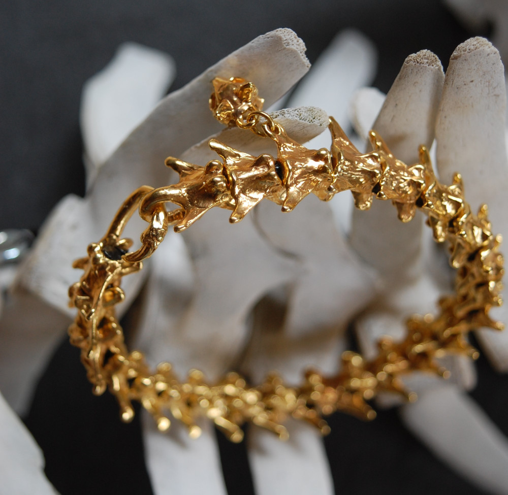 Vertebral - V2 - The golden cat by UNDE