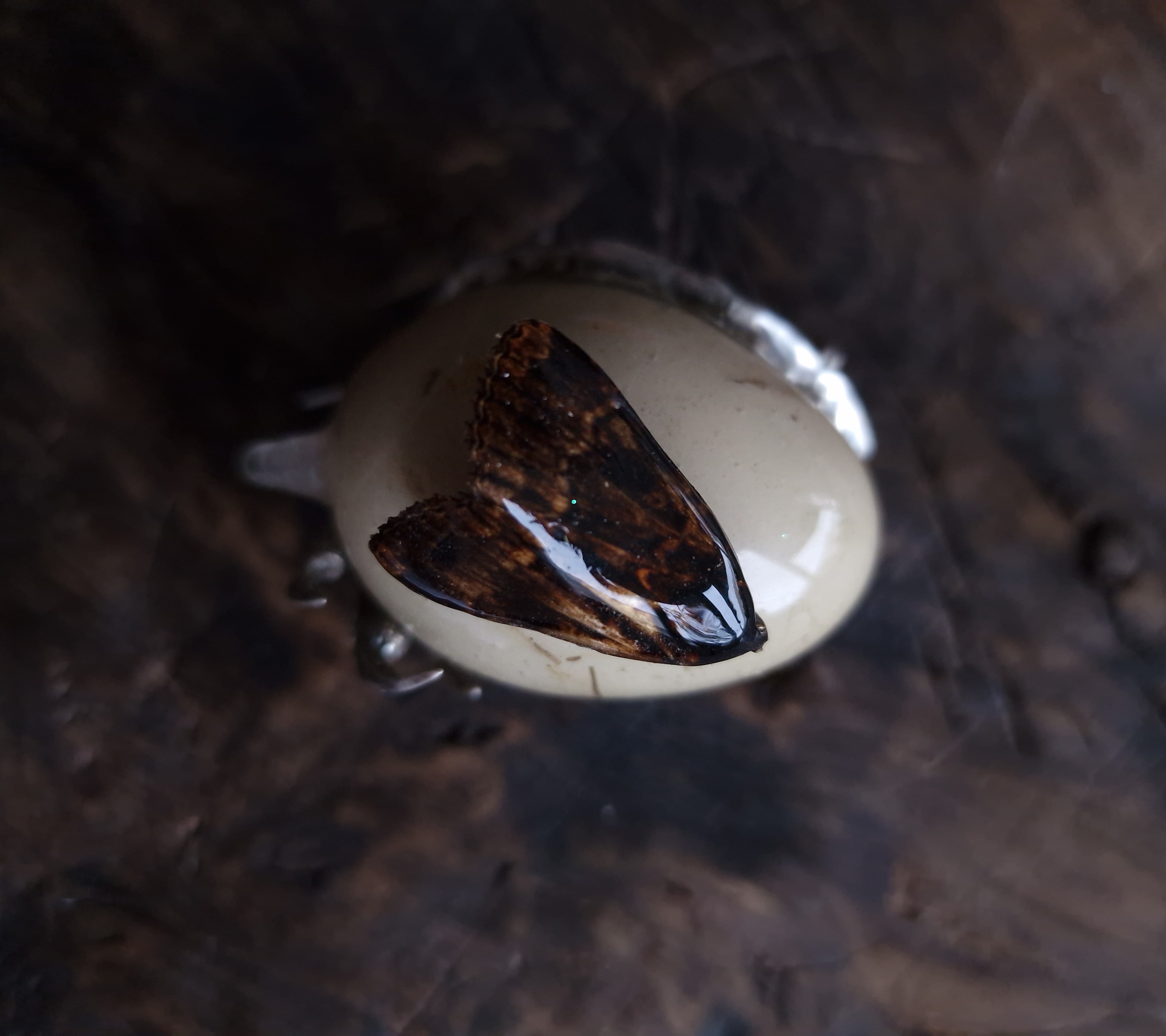 The beginning and the end