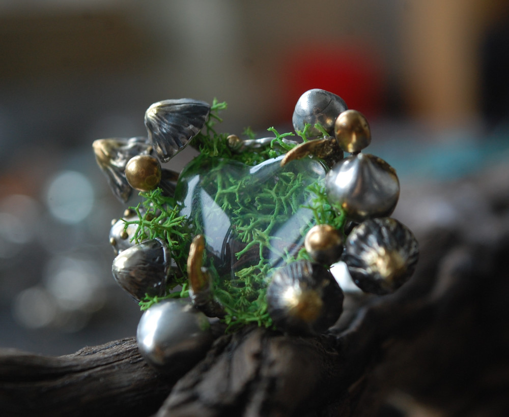 Mushrooms - Inside species -add by UNDE