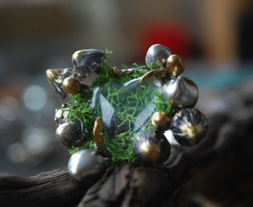 Mushrooms - Inside species -add by UNDE