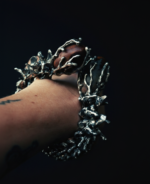 Vertebral - The dragon egg by UNDE