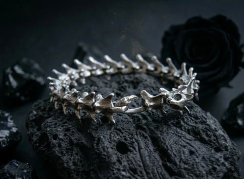 Vertebral - V2 - The cat by UNDE