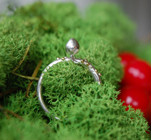 Mushrooms - The smallest by UNDE